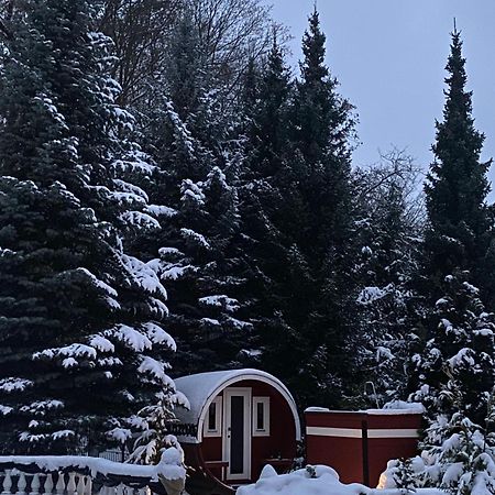 Gaestehaus Gaens - Ferienhaus Schirgiswalde-Kirschau Dış mekan fotoğraf